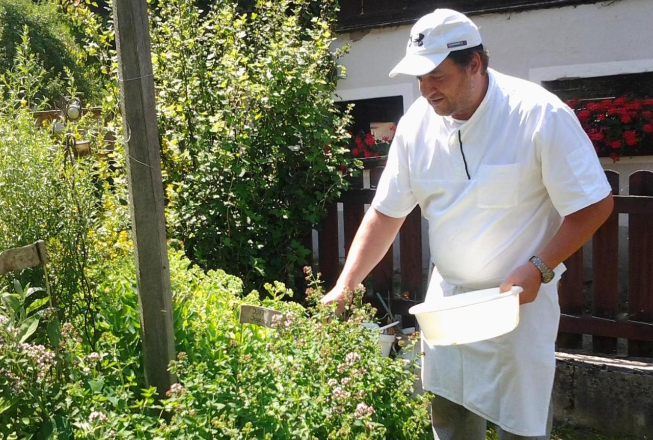 Bio-Bauernhof-Hotel Matlschweiger Lassing  Bagian luar foto
